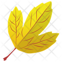 پیش‌نمایش فایل autumn-leaf-14 از پک برگ‌های پاییزی