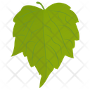 پیش‌نمایش فایل birch-leaf-11 از پک برگ‌های پاییزی
