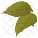 پیش‌نمایش فایل birch-leaves از پک برگ‌های پاییزی