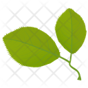 پیش‌نمایش فایل cherry-leaves از پک برگ‌های پاییزی