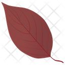 پیش‌نمایش فایل dogwood-in-fall از پک برگ‌های پاییزی