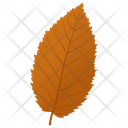 پیش‌نمایش فایل elm-leaf-3 از پک برگ‌های پاییزی