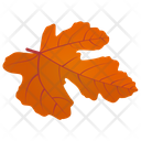 پیش‌نمایش فایل field-maple از پک برگ‌های پاییزی