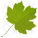 پیش‌نمایش فایل grape-leaf-2 از پک برگ‌های پاییزی