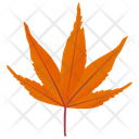 پیش‌نمایش فایل japanese-maple از پک برگ‌های پاییزی