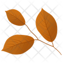 پیش‌نمایش فایل leafy-twig-1 از پک برگ‌های پاییزی