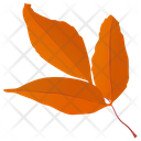 پیش‌نمایش فایل leafy-twig از پک برگ‌های پاییزی