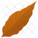 پیش‌نمایش فایل magnolia-leaf-2 از پک برگ‌های پاییزی
