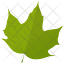 پیش‌نمایش فایل maple-leaf-36 از پک برگ‌های پاییزی