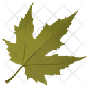 پیش‌نمایش فایل maple-leaf-38 از پک برگ‌های پاییزی