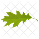 پیش‌نمایش فایل oak-leaf-25 از پک برگ‌های پاییزی