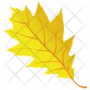 پیش‌نمایش فایل oak-leaf-27 از پک برگ‌های پاییزی