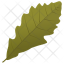 پیش‌نمایش فایل oak-leaf-28 از پک برگ‌های پاییزی