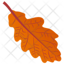 پیش‌نمایش فایل oak-leaf-29 از پک برگ‌های پاییزی