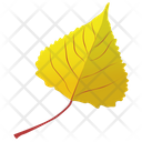 پیش‌نمایش فایل poplar-leaf از پک برگ‌های پاییزی