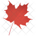 پیش‌نمایش فایل red-maple-1 از پک برگ‌های پاییزی