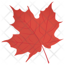 پیش‌نمایش فایل red-maple-2 از پک برگ‌های پاییزی