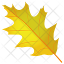 پیش‌نمایش فایل scarlet-oak از پک برگ‌های پاییزی
