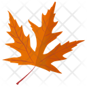 پیش‌نمایش فایل silver-maple از پک برگ‌های پاییزی