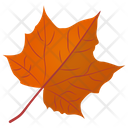 پیش‌نمایش فایل sugar-maple-7 از پک برگ‌های پاییزی