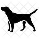 پیش‌نمایش فایل dog-2184 از پک شکار