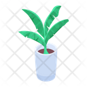 پیش‌نمایش فایل plant-9571247 از پک اتاق خواب