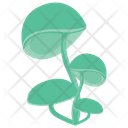 پیش‌نمایش فایل cnidaria از پک صخره مرجانی