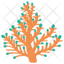 پیش‌نمایش فایل elkhorn-coral از پک صخره مرجانی