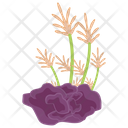 پیش‌نمایش فایل xenia-reef از پک صخره مرجانی