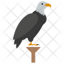 پیش‌نمایش فایل bald-eagle از پک میراث سنتی قدیمی