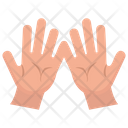 پیش‌نمایش فایل palmistry-2 از پک میراث سنتی قدیمی