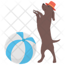 پیش‌نمایش فایل dog-circus از پک سیرک کارناوال