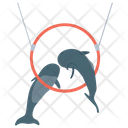 پیش‌نمایش فایل dolphin-circus-1 از پک سیرک کارناوال