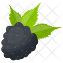 پیش‌نمایش فایل black-raspberry-1 از پک آیکن‌های مسطح انواع توت
