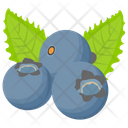 پیش‌نمایش فایل blueberry-69 از پک آیکن‌های مسطح انواع توت