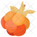 پیش‌نمایش فایل cloudberry از پک آیکن‌های مسطح انواع توت