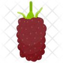 پیش‌نمایش فایل loganberry از پک آیکن‌های مسطح انواع توت