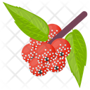 پیش‌نمایش فایل pineberry از پک آیکن‌های مسطح انواع توت