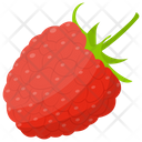 پیش‌نمایش فایل raspberry-60 از پک آیکن‌های مسطح انواع توت
