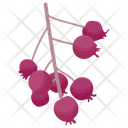 پیش‌نمایش فایل red-currant از پک آیکن‌های مسطح انواع توت