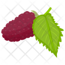 پیش‌نمایش فایل red-mulberry از پک آیکن‌های مسطح انواع توت
