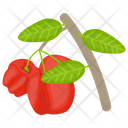 پیش‌نمایش فایل rose-apple-2 از پک آیکن‌های مسطح انواع توت