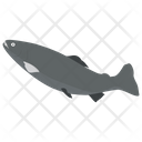 پیش‌نمایش فایل aquatic-fish-2 از پک ماهیگیری
