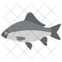 پیش‌نمایش فایل aquatic-fish-3 از پک ماهیگیری