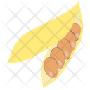 پیش‌نمایش فایل beans-65 از پک آجیل و غلات