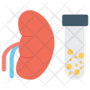 پیش‌نمایش فایل kidney-test از پک چکاپ سلامت