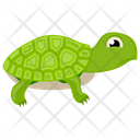 پیش‌نمایش فایل turtle-105 از پک دزد دریایی