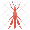 پیش‌نمایش فایل arachnids از پک زندگی زیر آب
