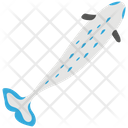 پیش‌نمایش فایل australian-herring از پک زندگی زیر آب