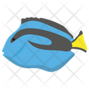 پیش‌نمایش فایل blue-tang از پک زندگی زیر آب